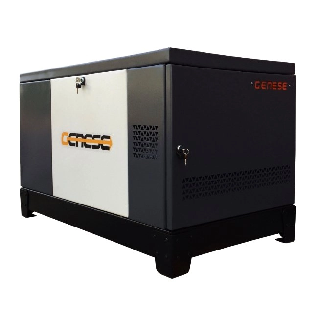 Газовый генератор GENESE STANDARD 17000T (в шумозащитном кожухе)