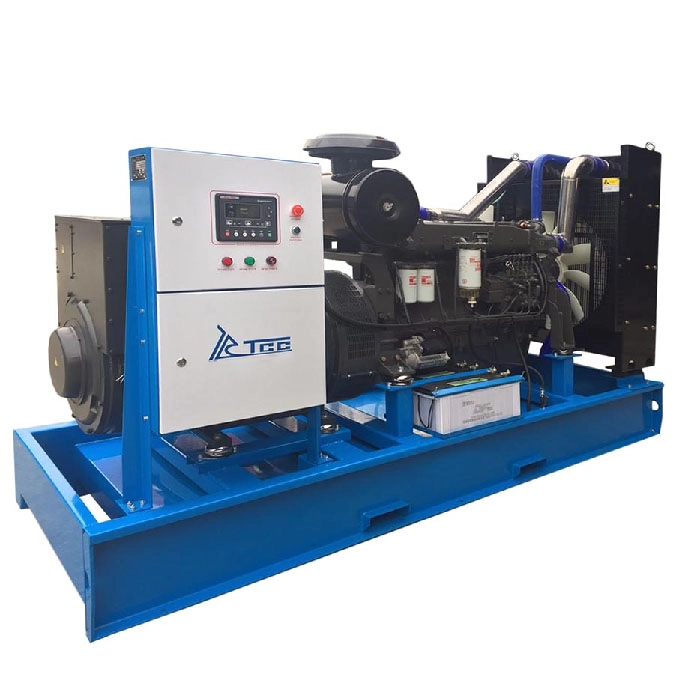 Дизельный генератор ТСС АД-320С-Т400-1РМ5 (контроллер SMARTGEN)